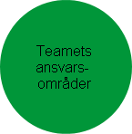 Teamets ansvarsområder (klikbart)