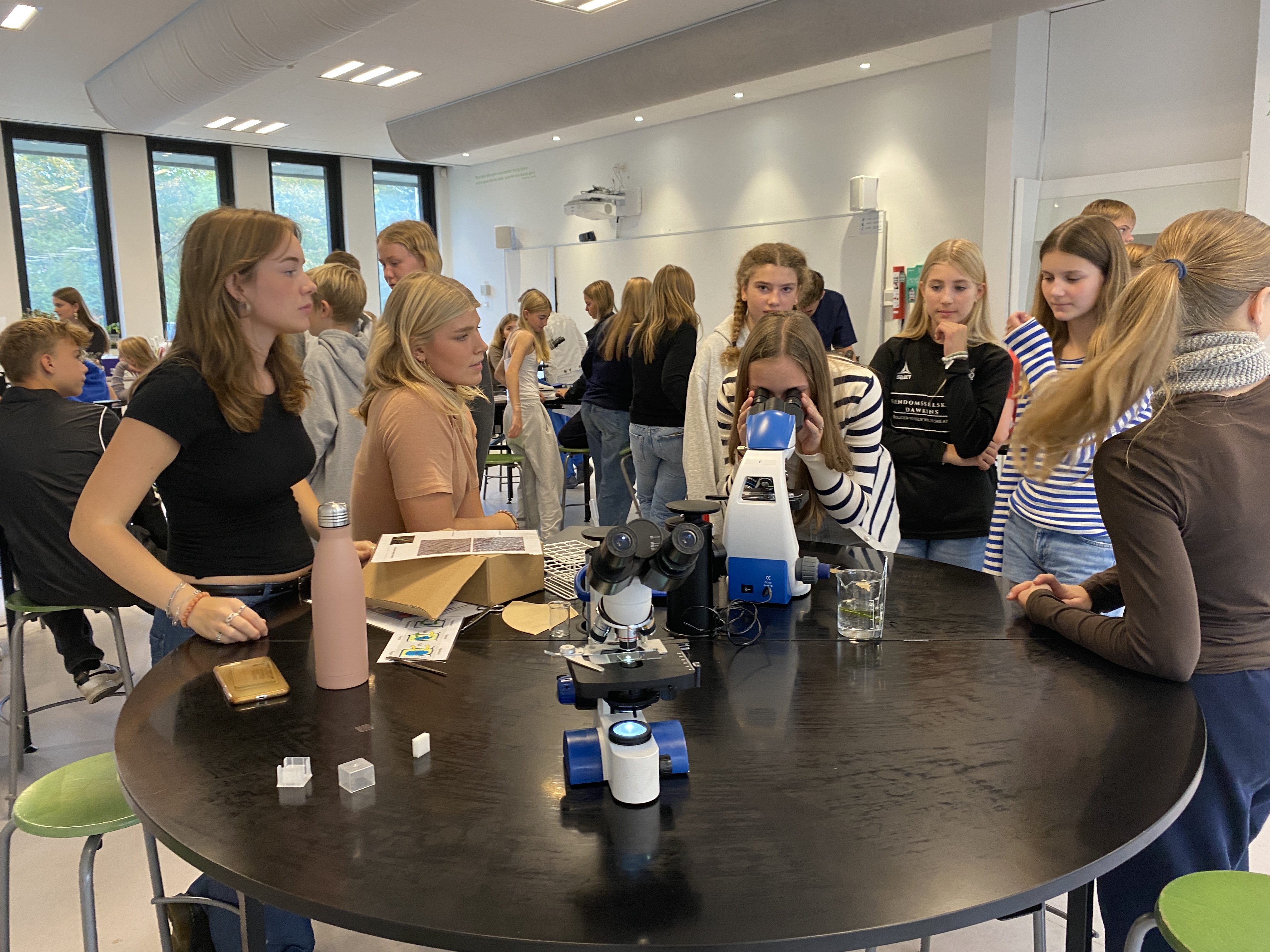 NV festival 2023 (7).JPG