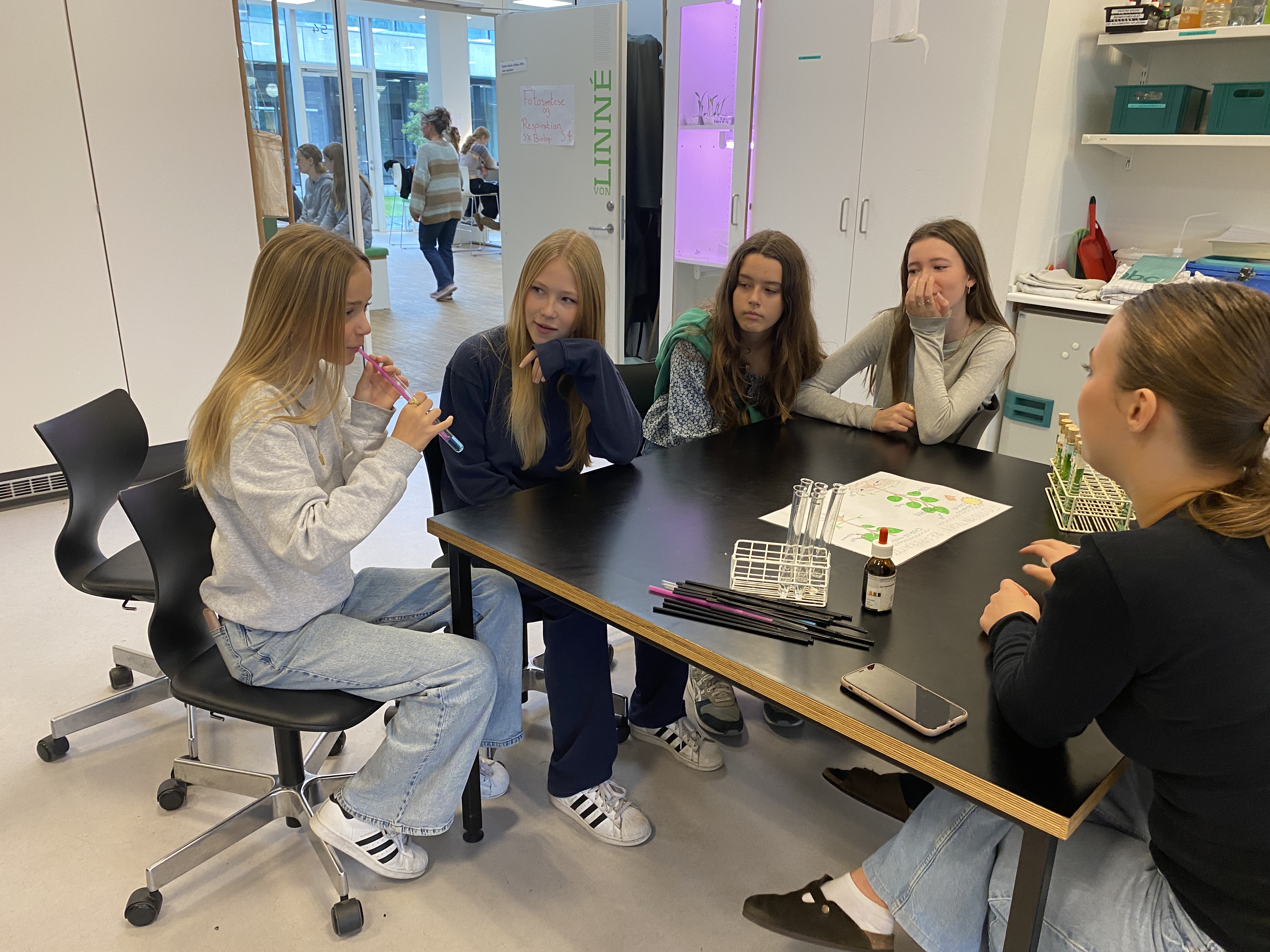 NV festival 2023 (10).JPG