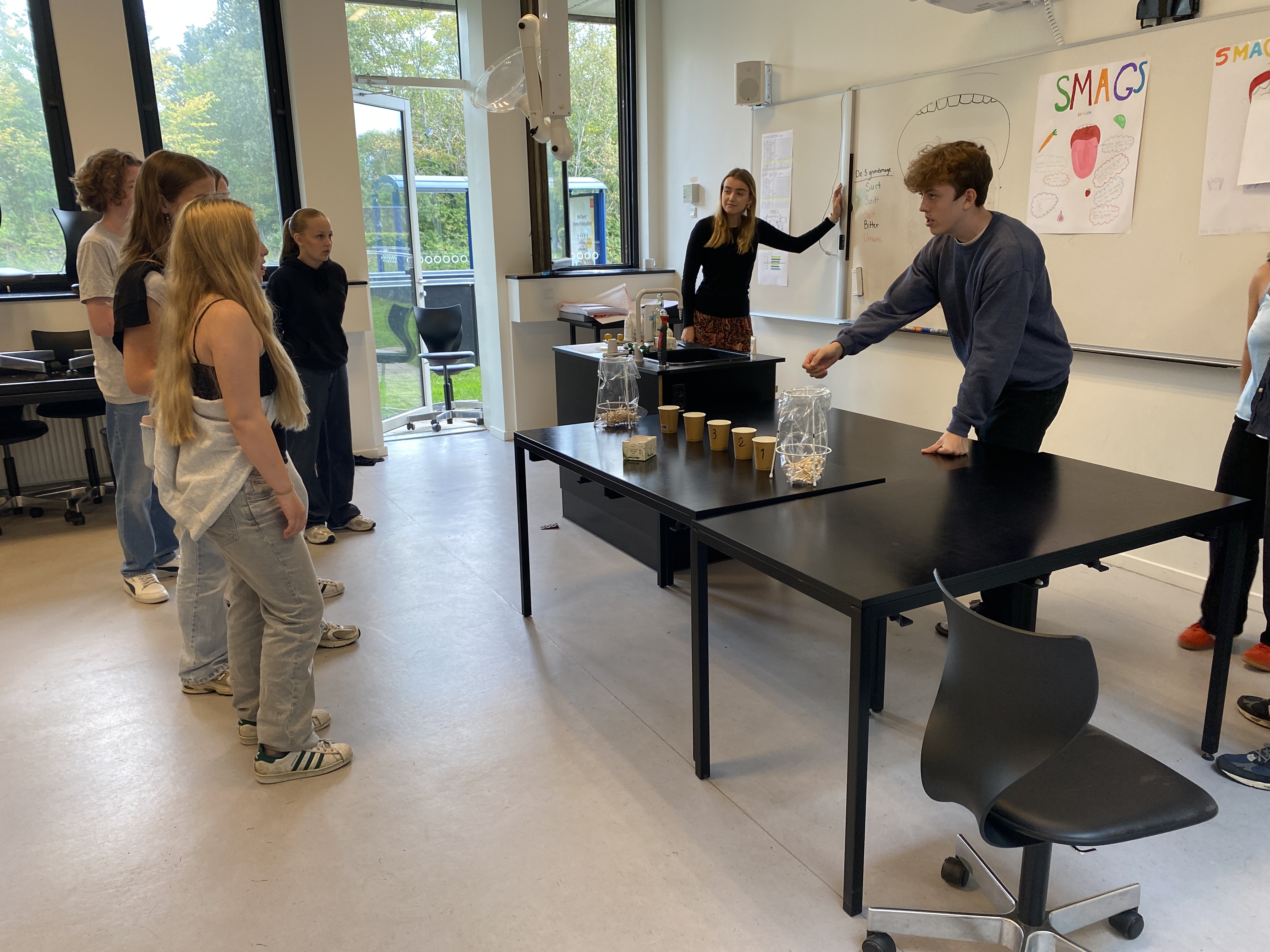 NV festival 2023 (21).JPG