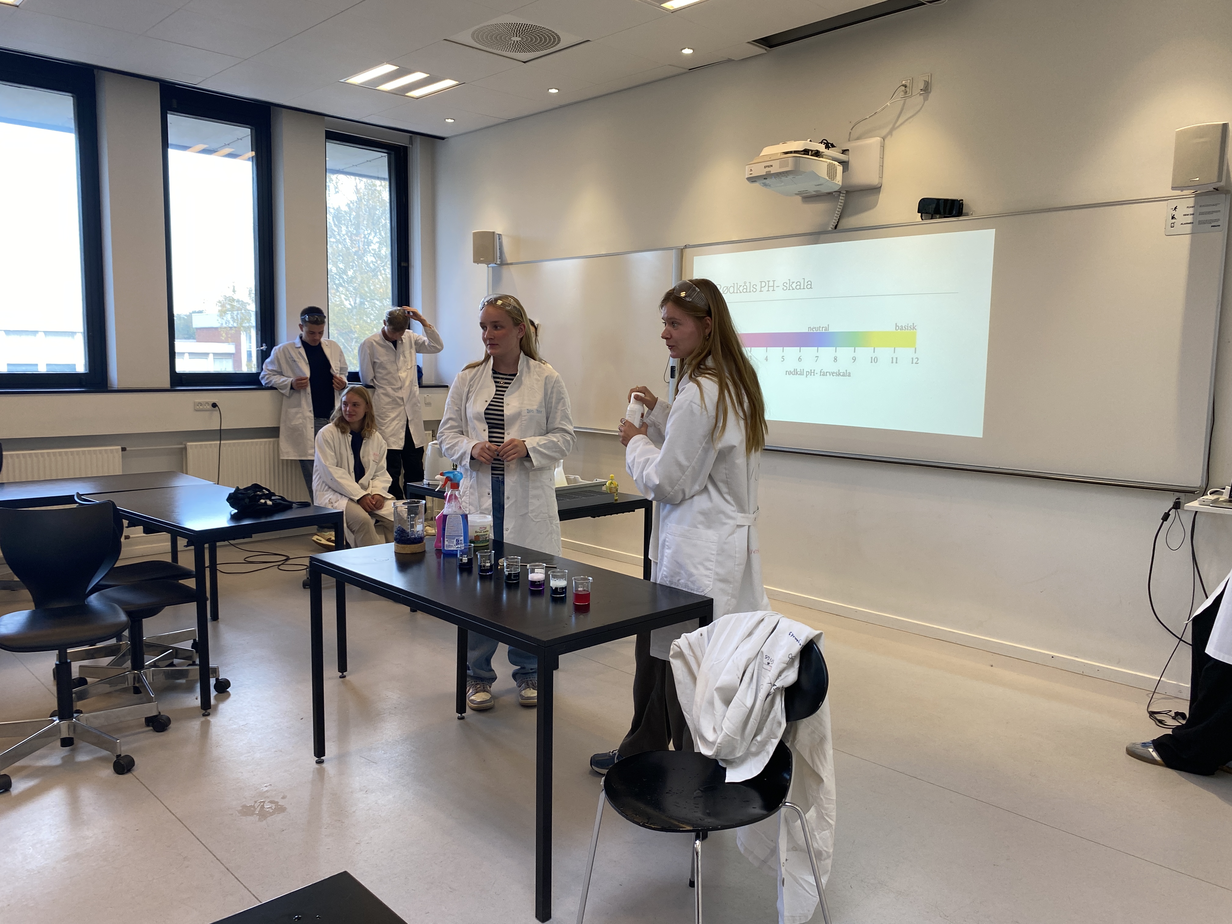 NV festival 2023 (25).JPG