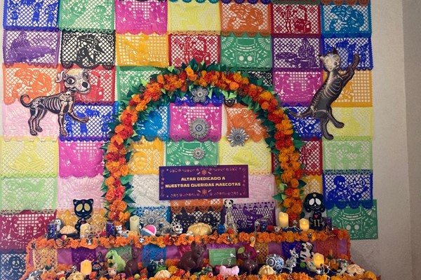 Mexico 2023 (2).JPG