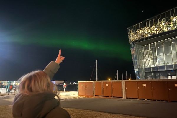 2u ser på nordlys i Reykjavik.jpg