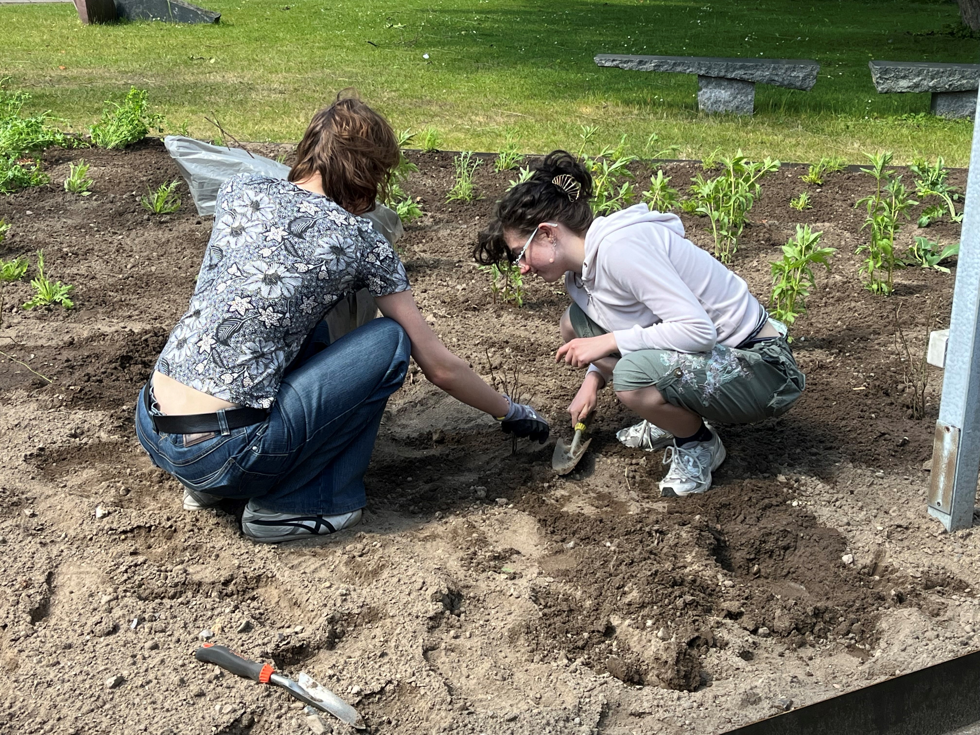 BUSG - biodiversitet 1.jpg