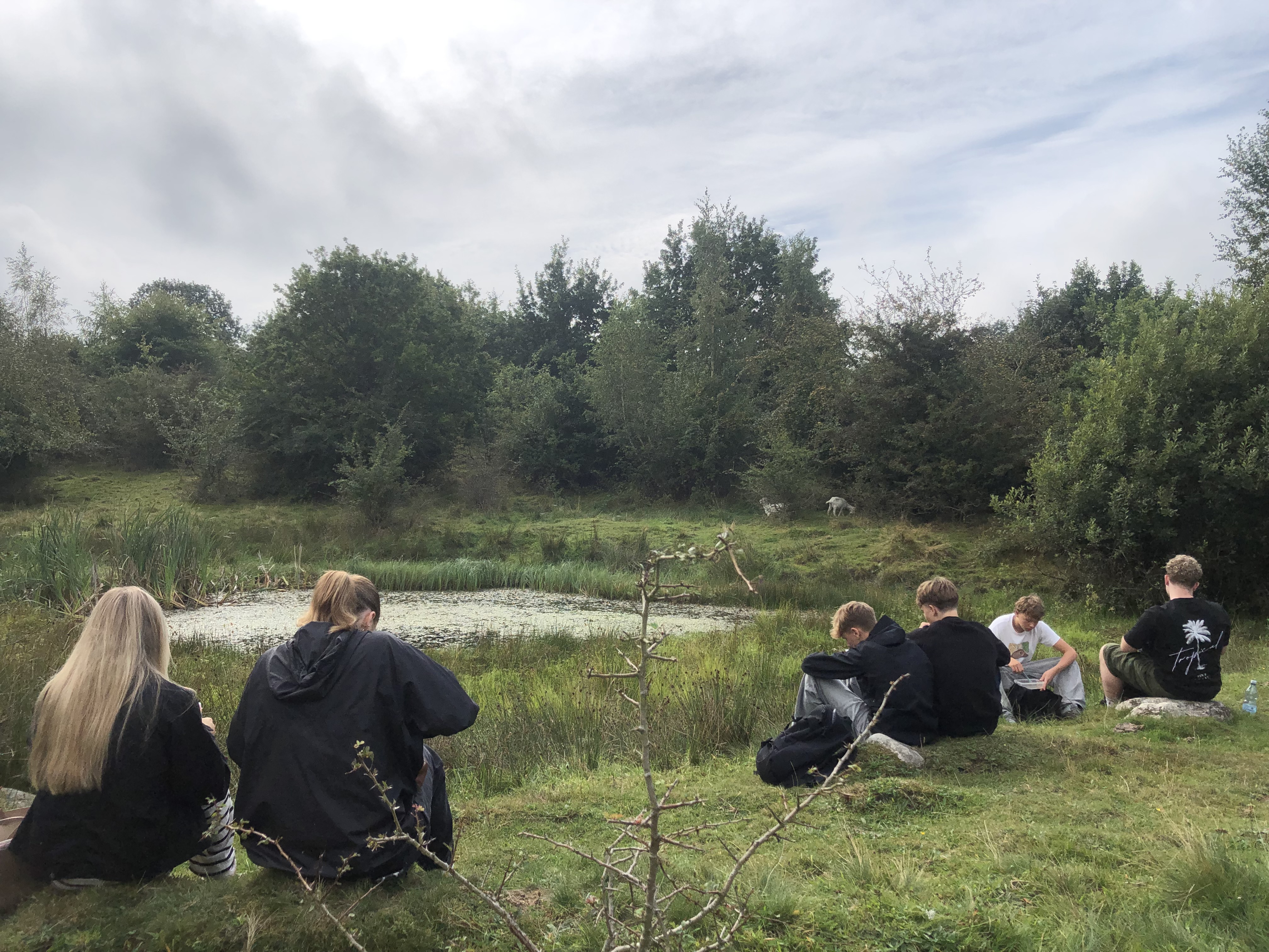 Svinehaverne (1).jpg