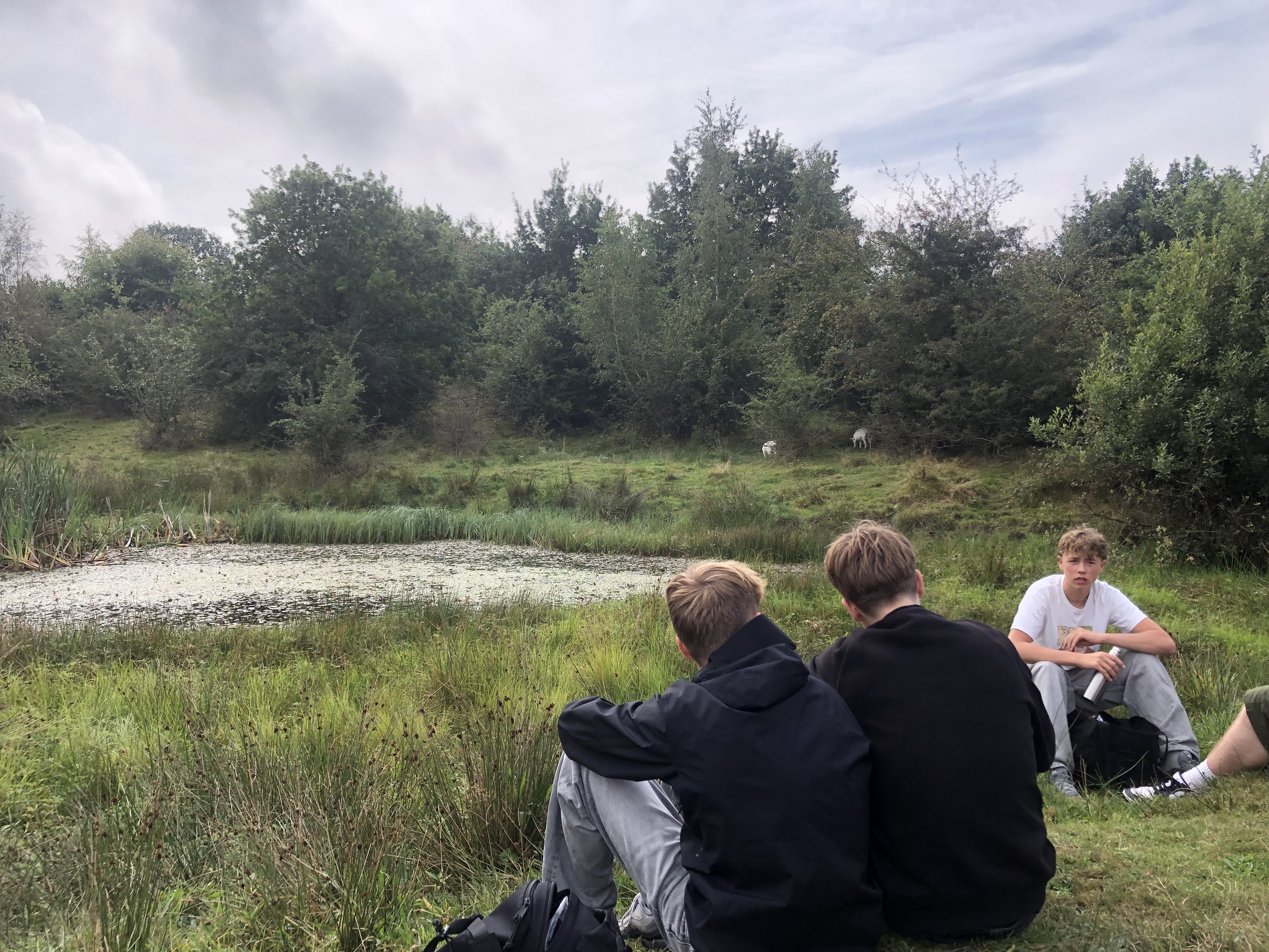 Svinehaverne (2).jpg