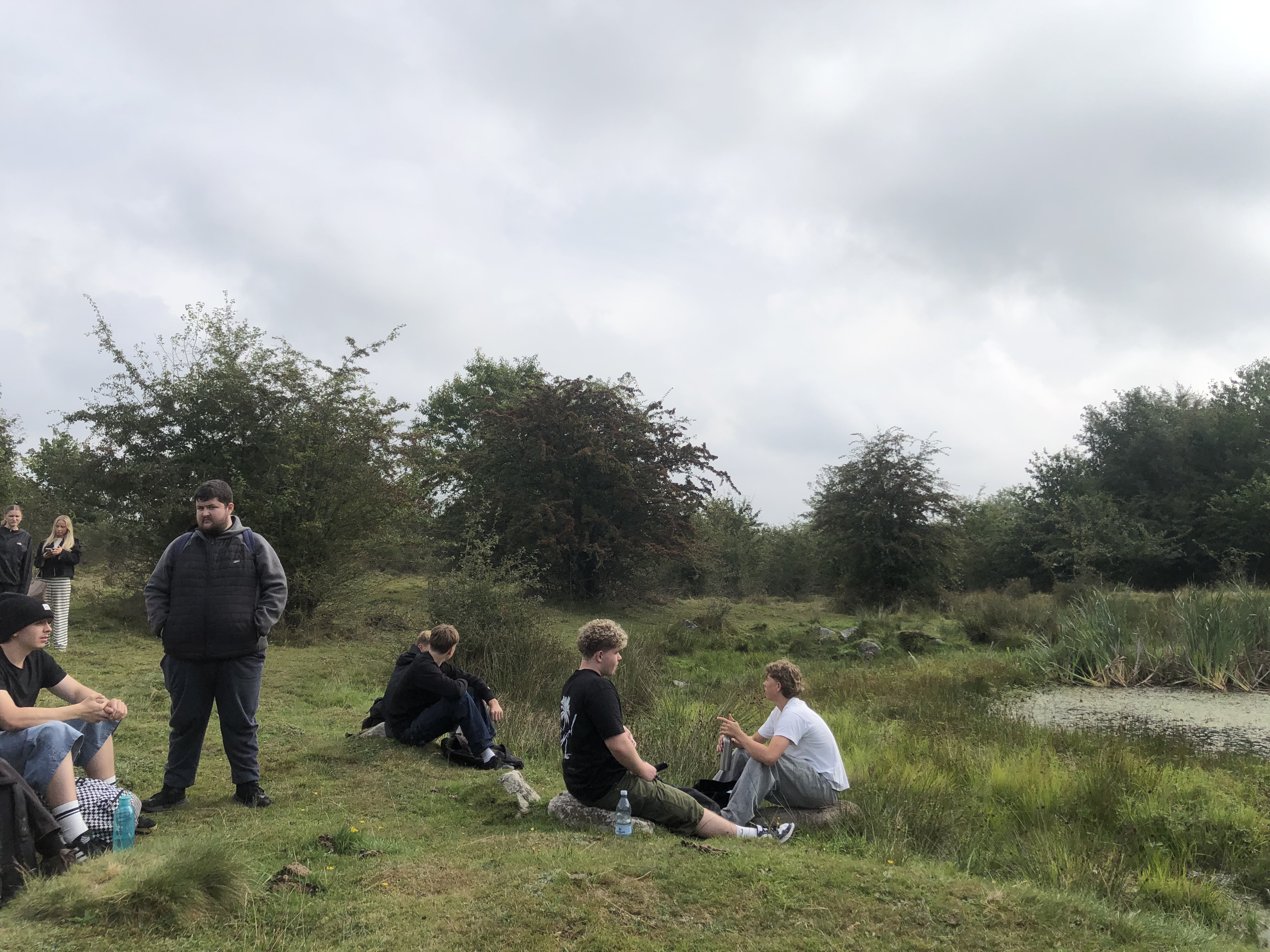 Svinehaverne (3).jpg