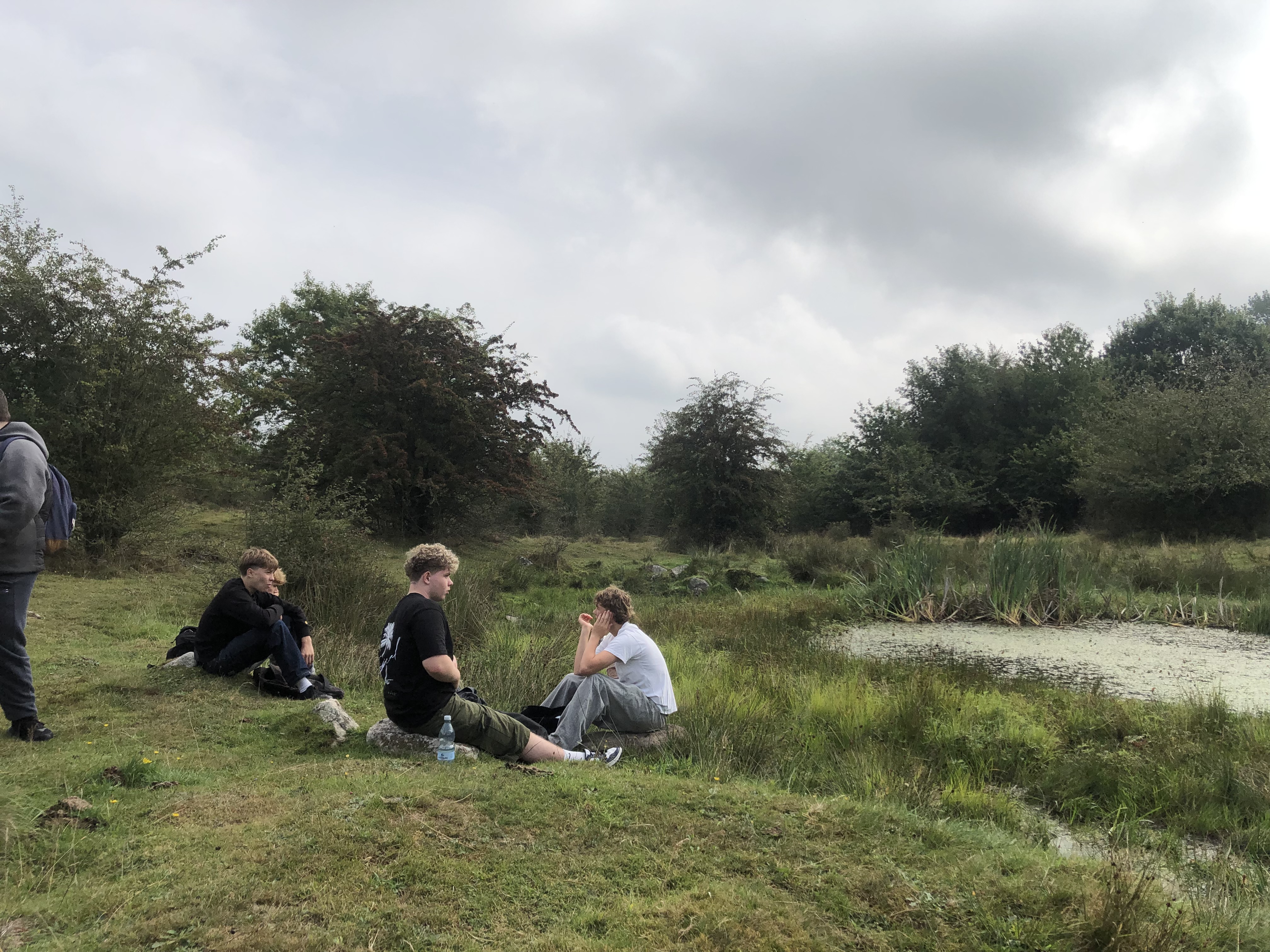 Svinehaverne (4).jpg