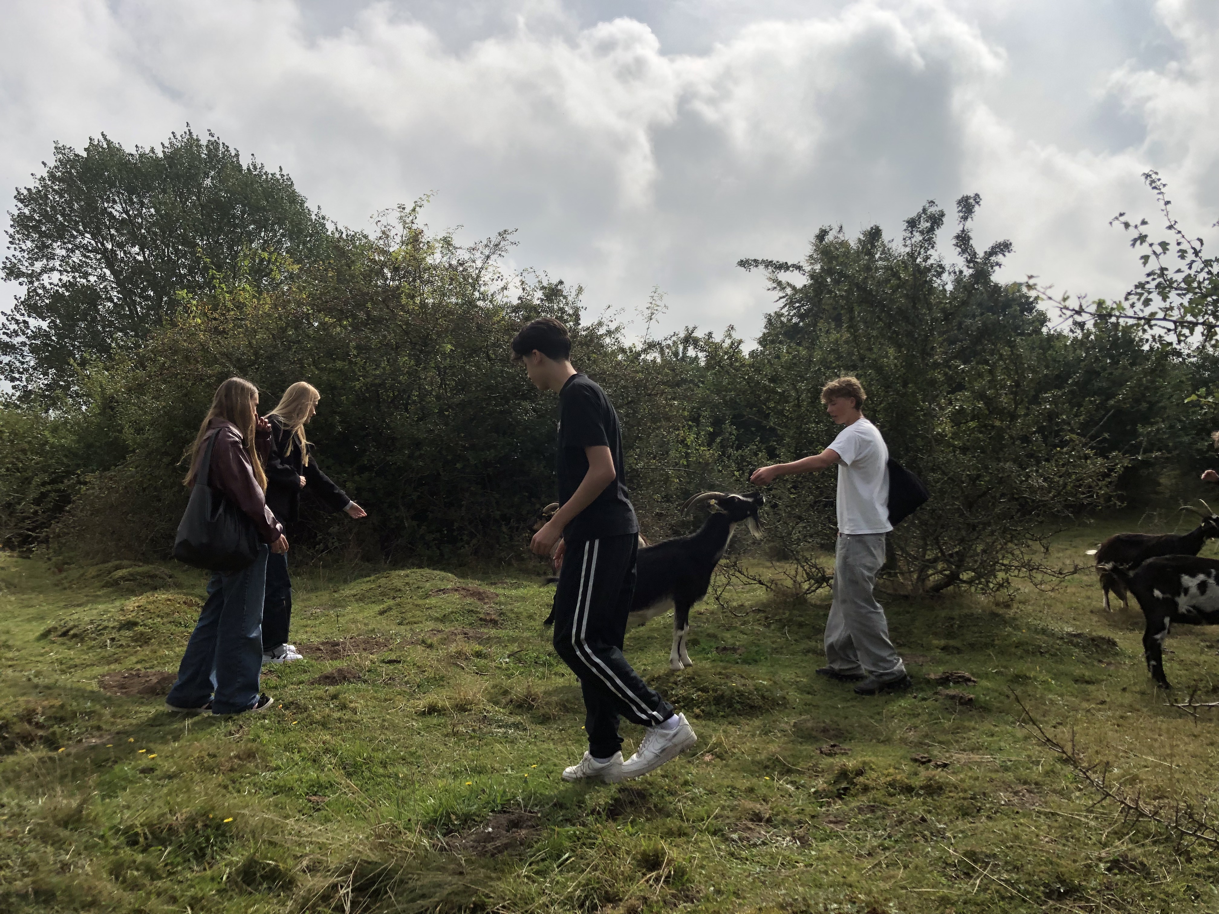 Svinehaverne (8).jpg