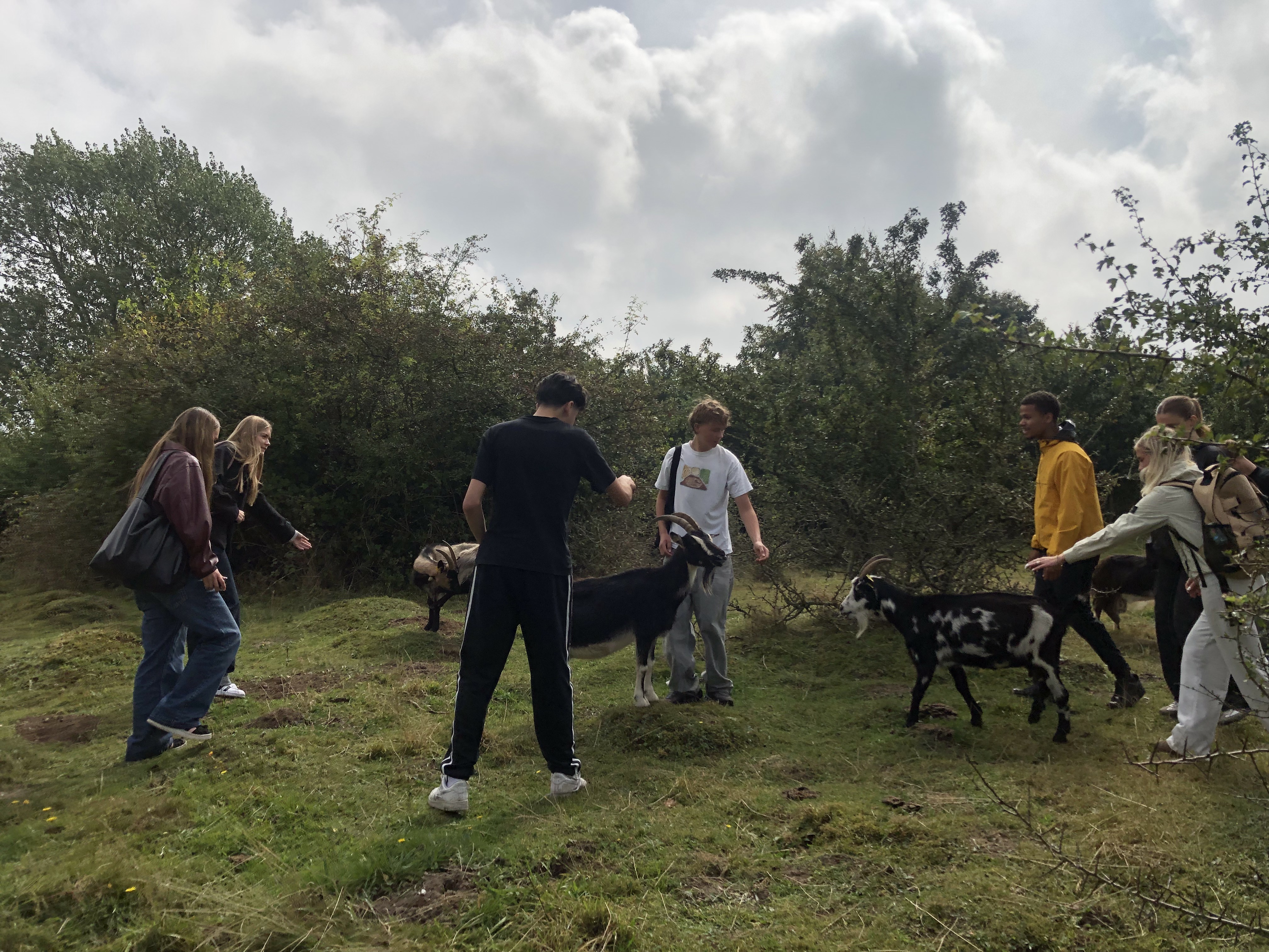 Svinehaverne (10).jpg