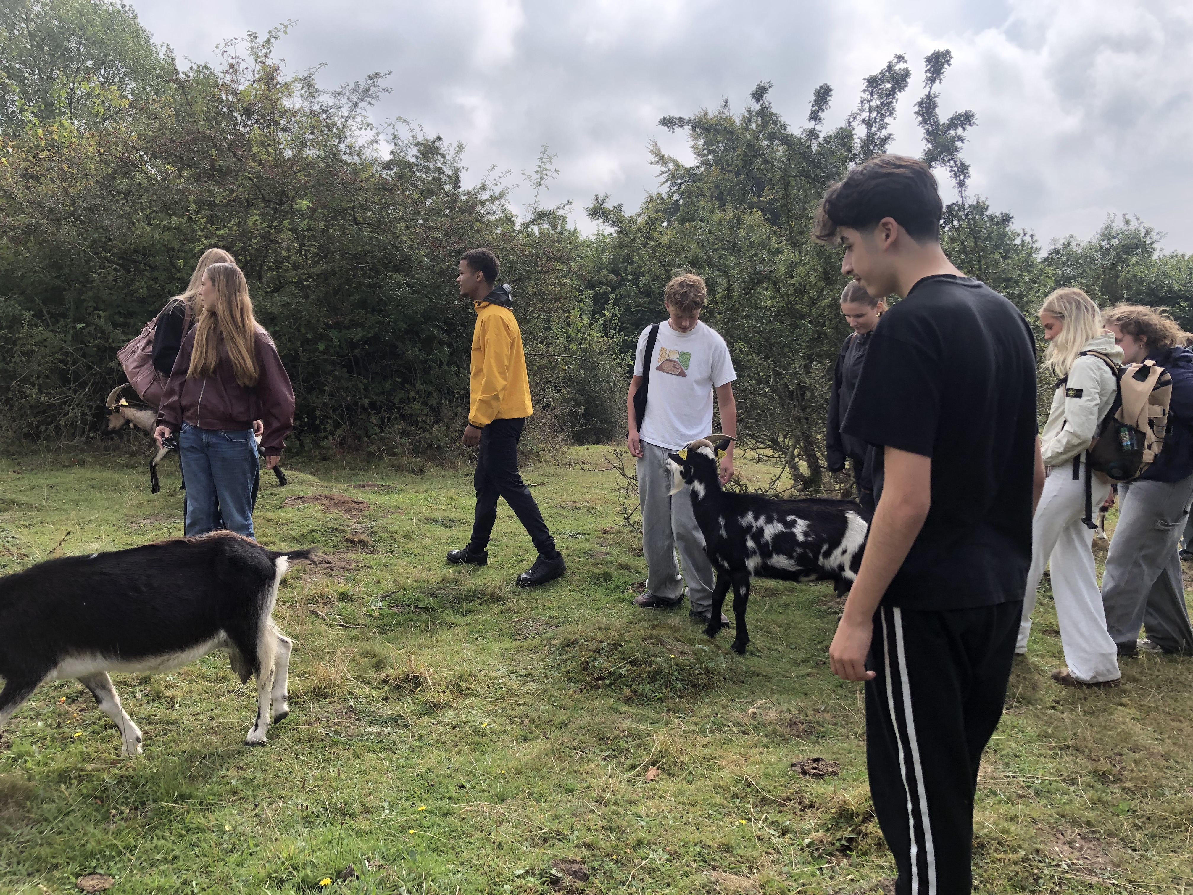 Svinehaverne (11).jpg