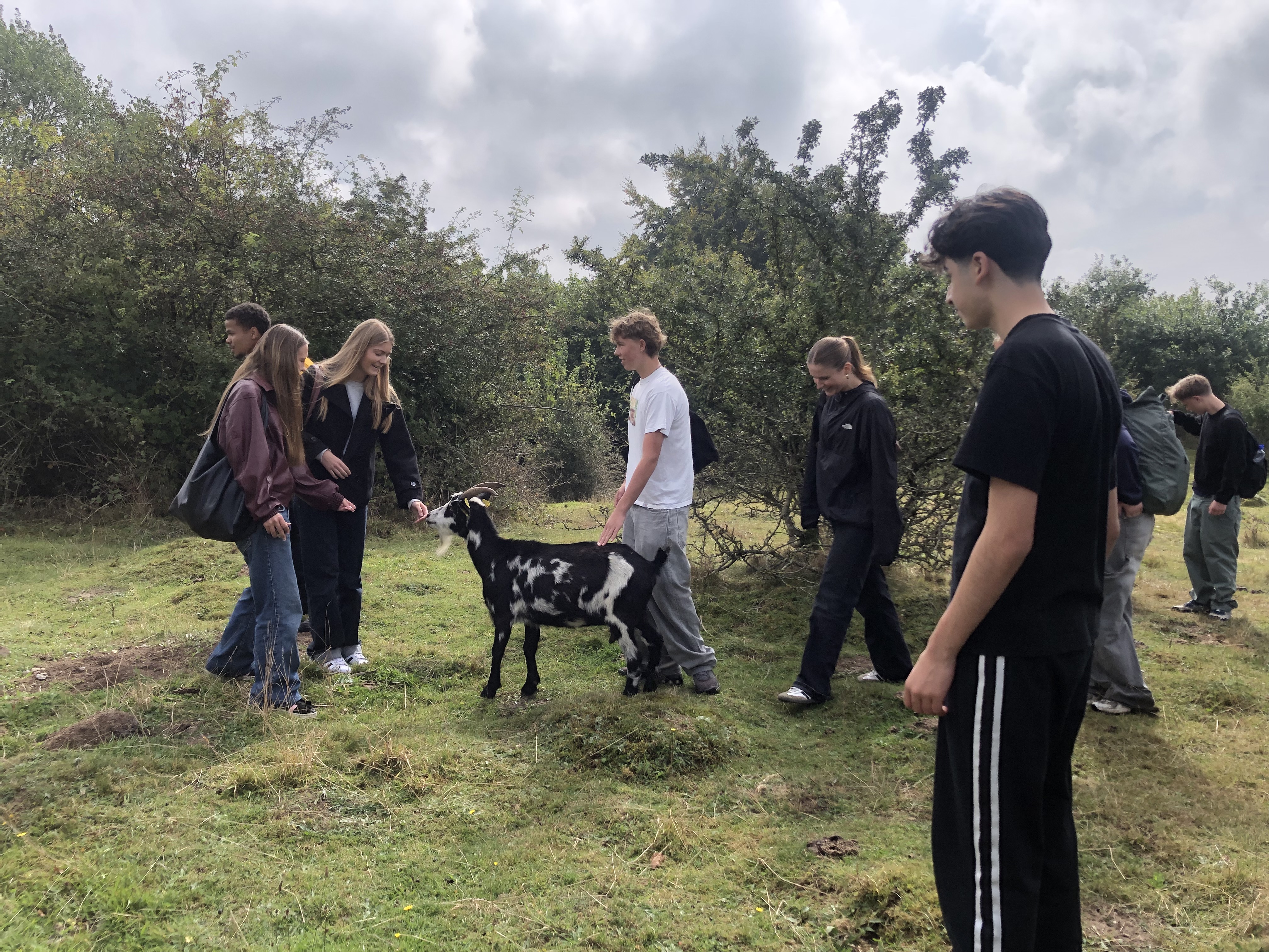 Svinehaverne (12).jpg