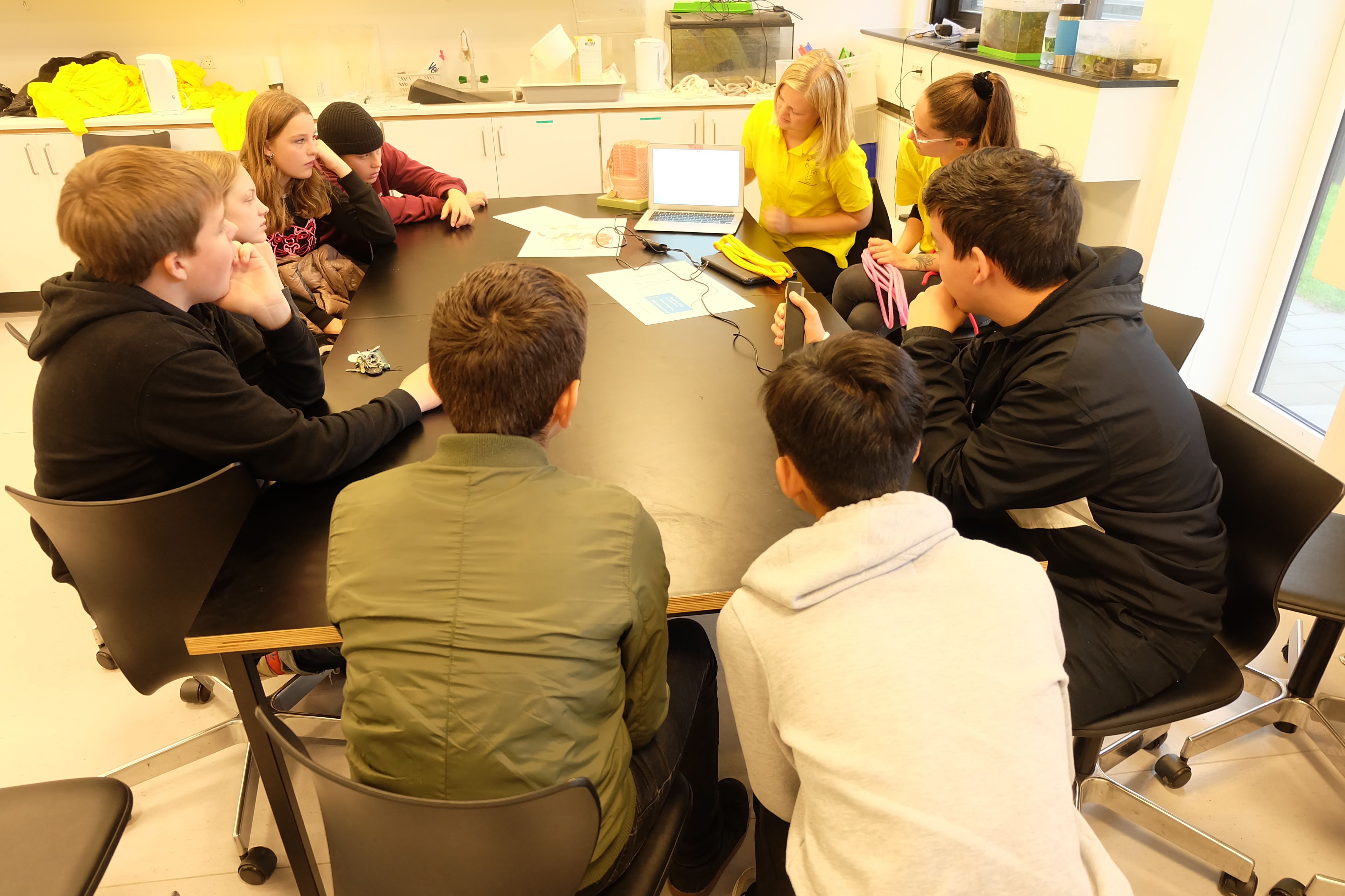 NV festival 2019 (5).JPG