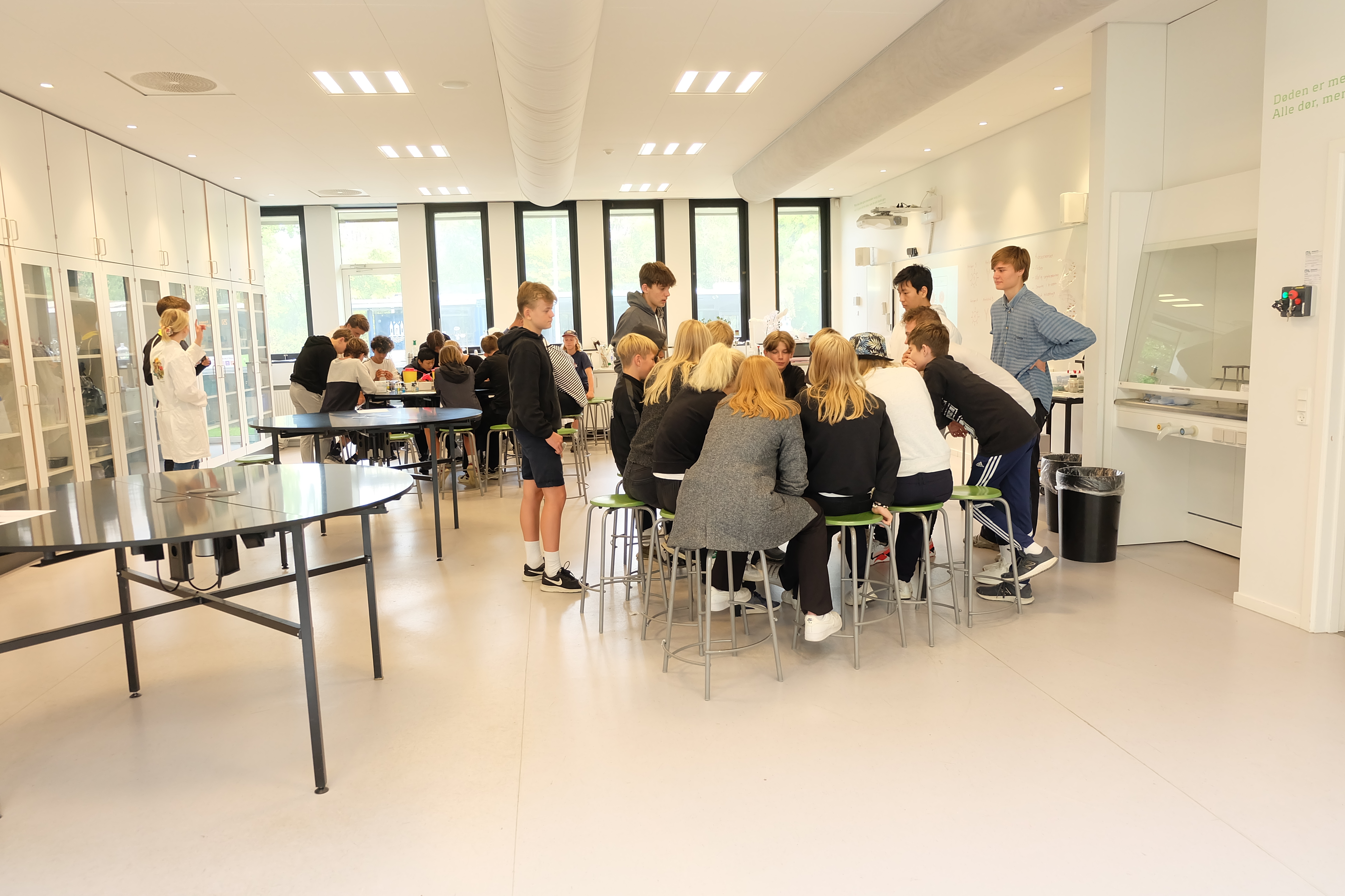 NV festival 2019 (6).JPG