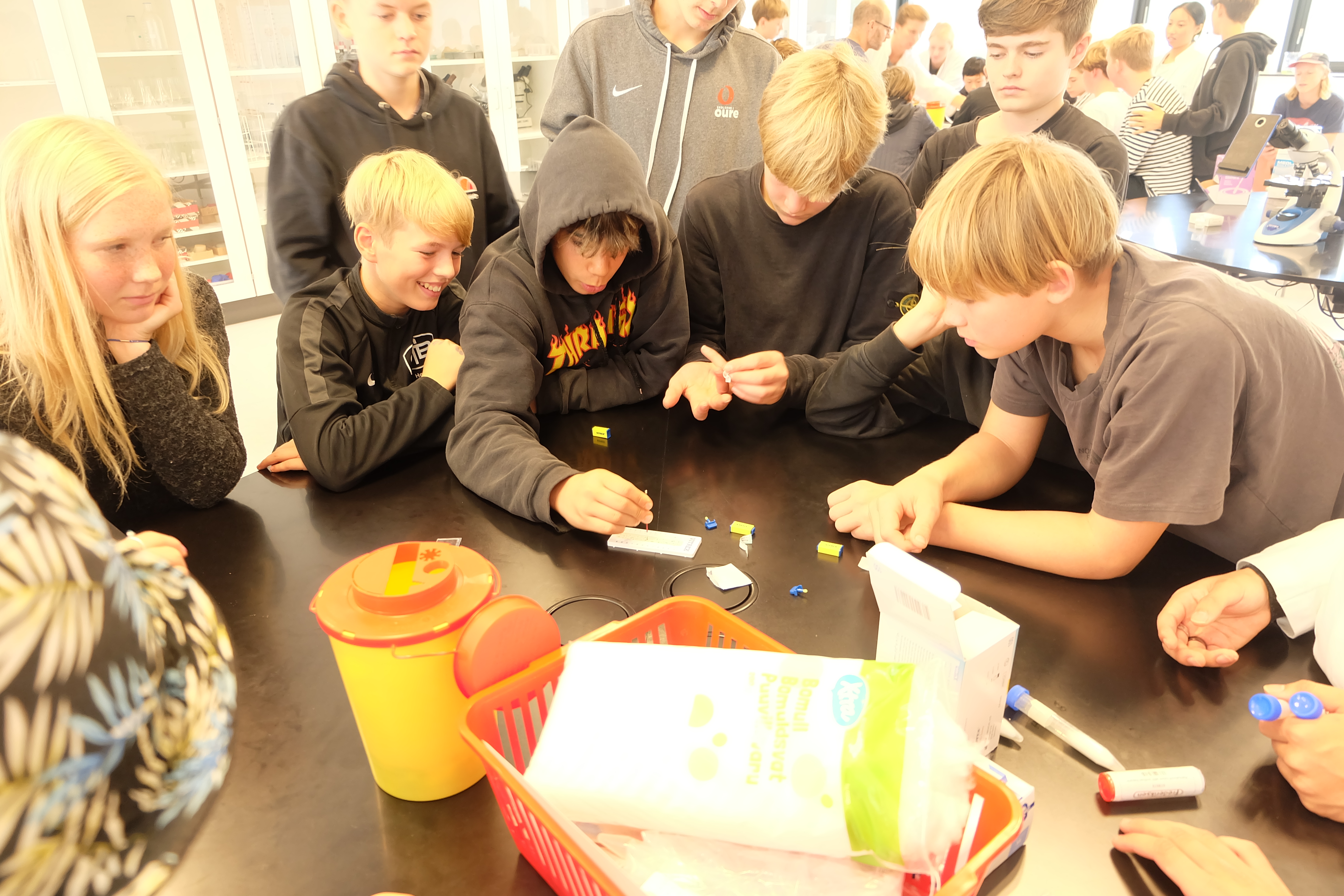 NV festival 2019 (9).JPG