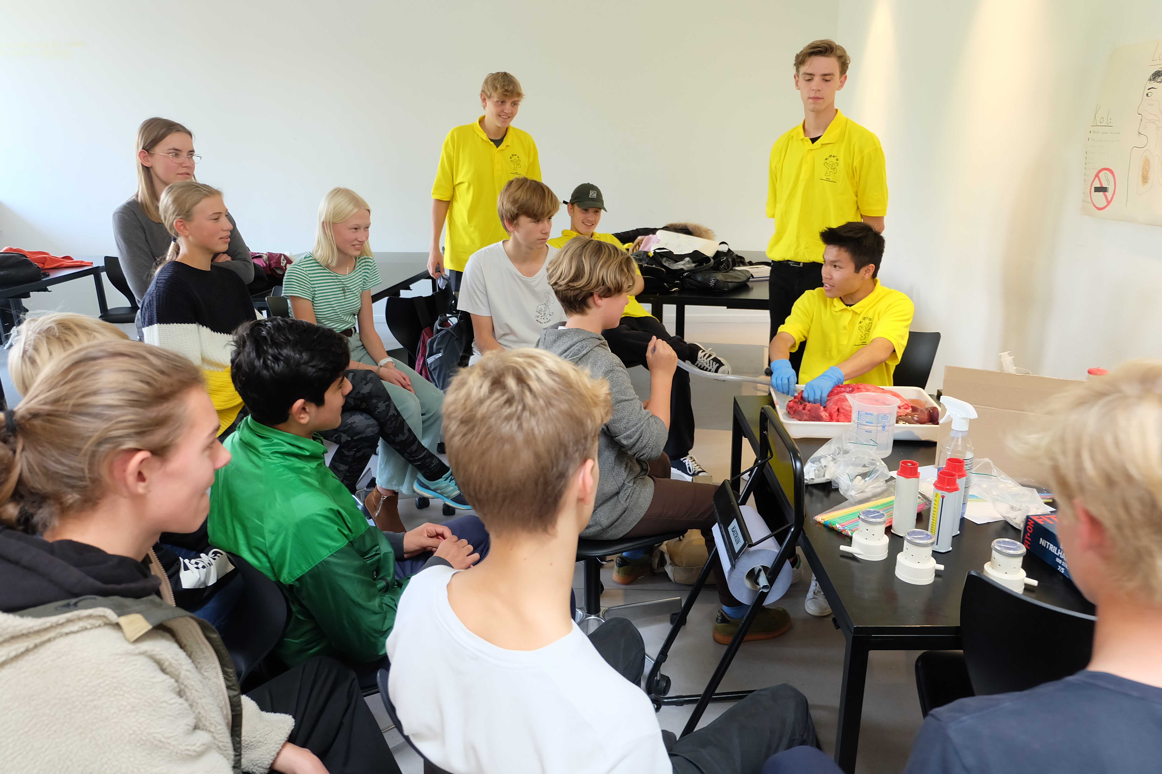 NV festival 2019 (10).JPG