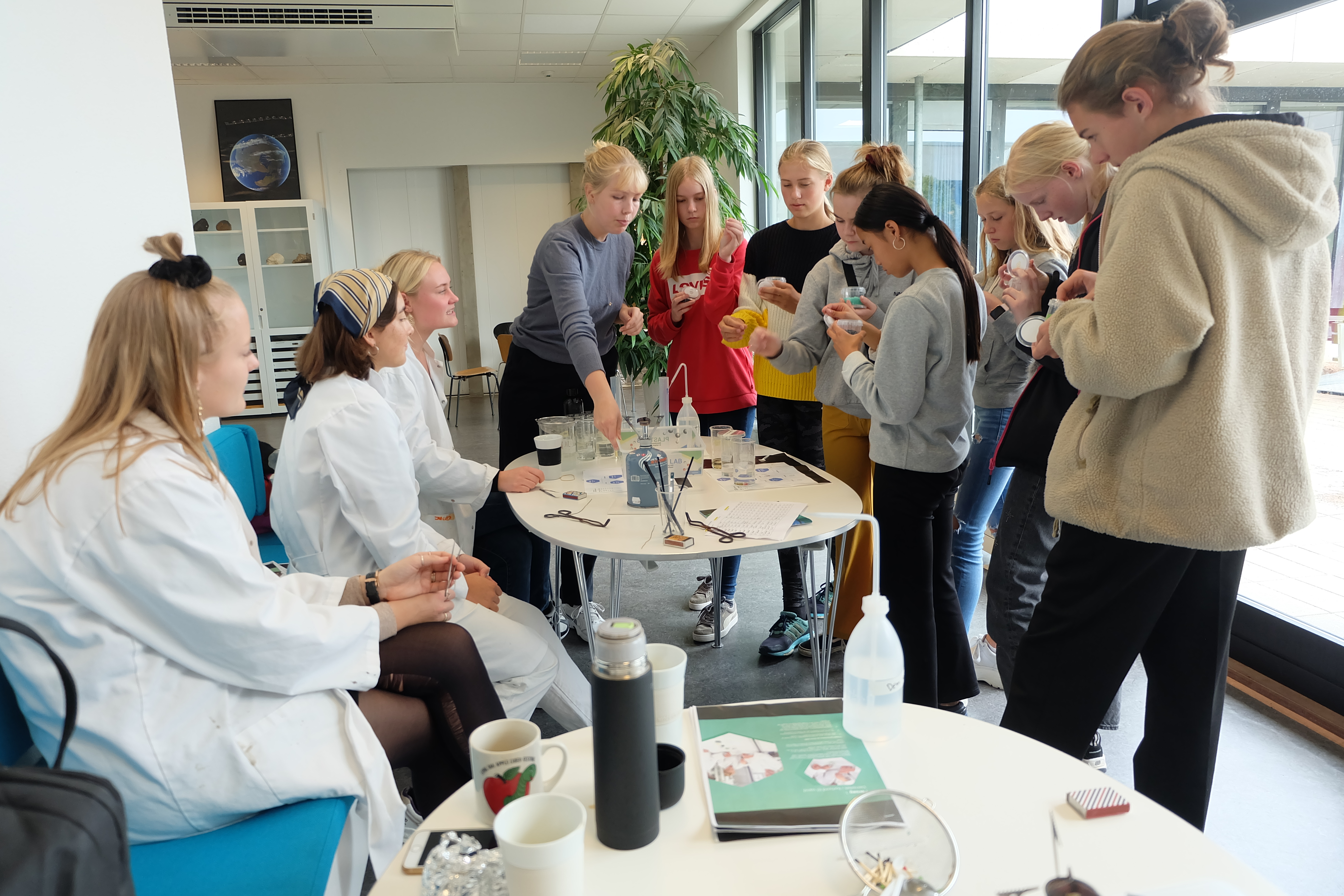 NV festival 2019 (11).JPG