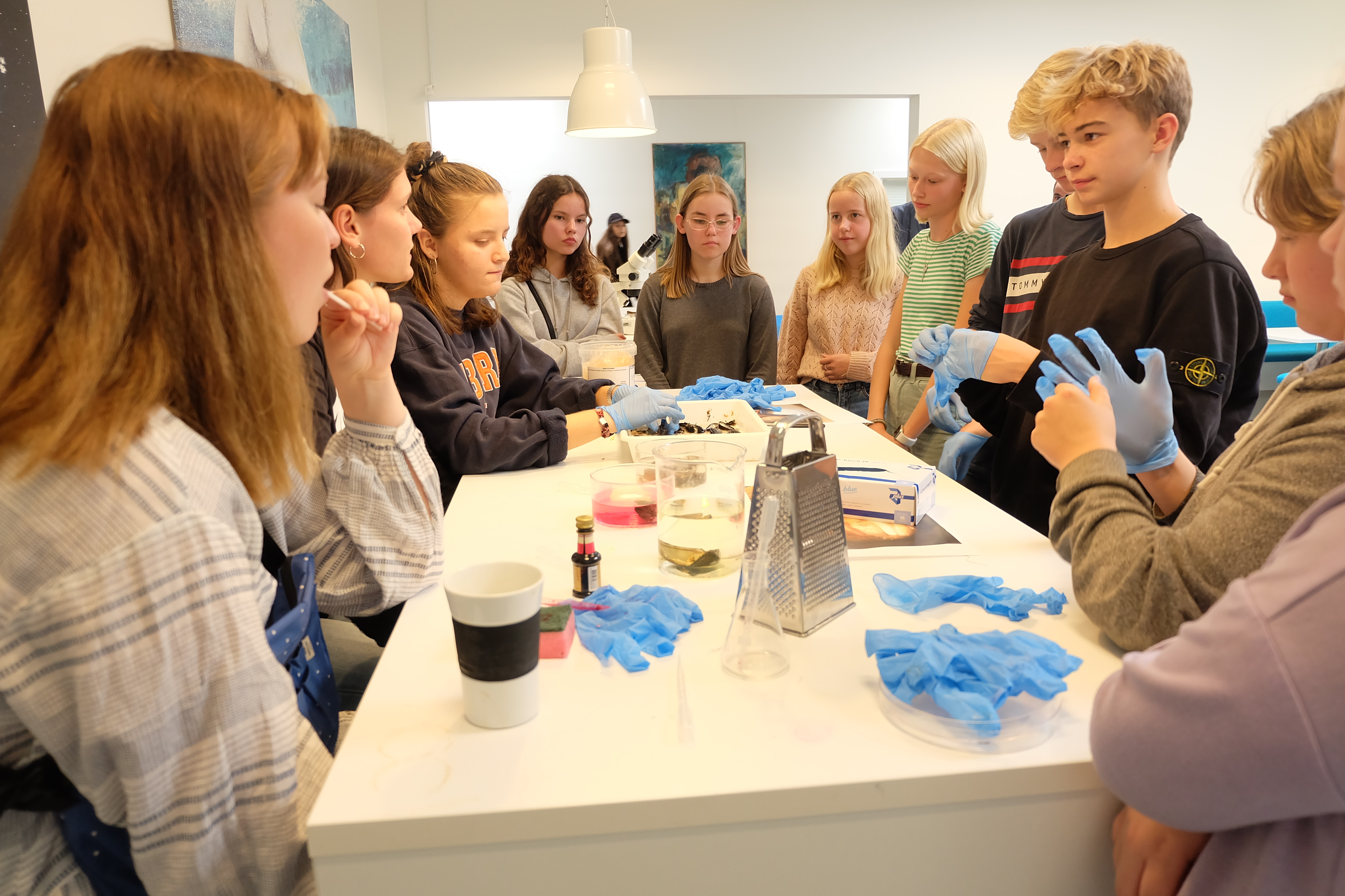 NV festival 2019 (12).JPG