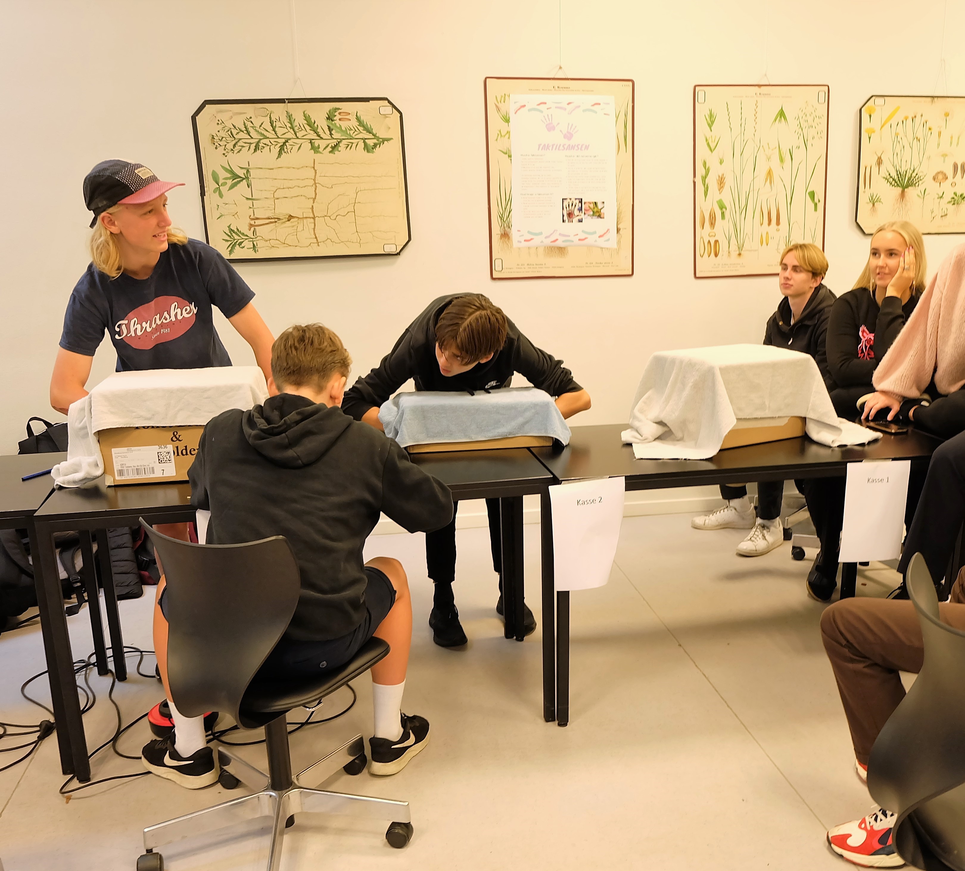 NV festival 2019 (3).JPG